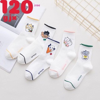 10 ĐÔI TẤT NỮ CỔ DÀI HÌNH KUTE