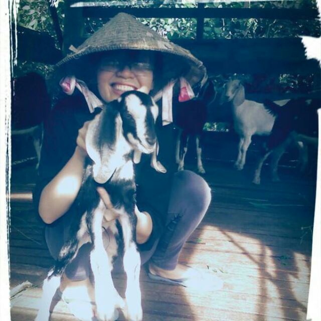 lananhvong