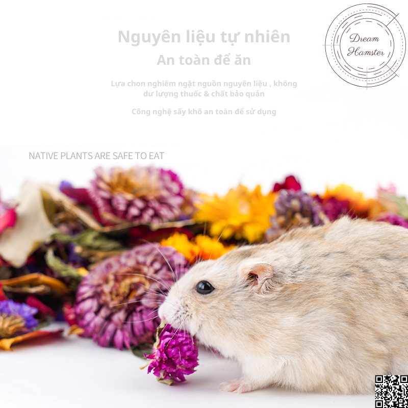 Hoa khô lót chuồng cho thú cưng giải nhiệt, giảm stress Jonsanty 1200ml