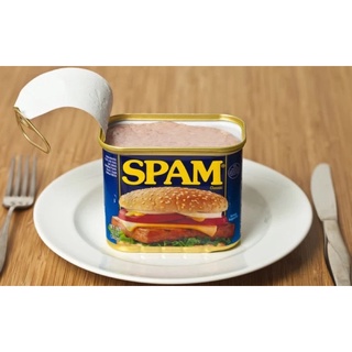 Spam thịt hộp ngon nhất tại Mỹ, chuẩn mỹ 100% bill Costco