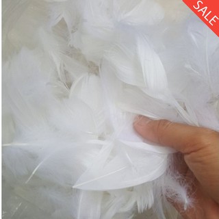 lông vũ trắng size 6cm - 13cm : 5 gói ( 1 gói tầm 100 - 200 cái )