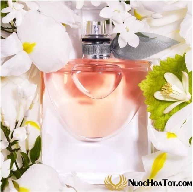 N .h lancome hồng