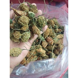 Trái mướp đắng rừng loại nguyên quả và loại thái lát sấy khô 1kg