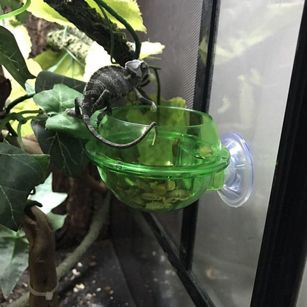 Bát Đựng Thức Ăn Bằng Nhựa Chống Côn Trùng Có Giác Hút Gắn Tường Tiện Lợi Dành Cho Thú Cưng