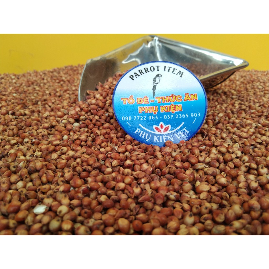 500GRAM CAO LƯƠNG ĐỎ (BO BO ĐỎ) CHO CHIM,VẸT