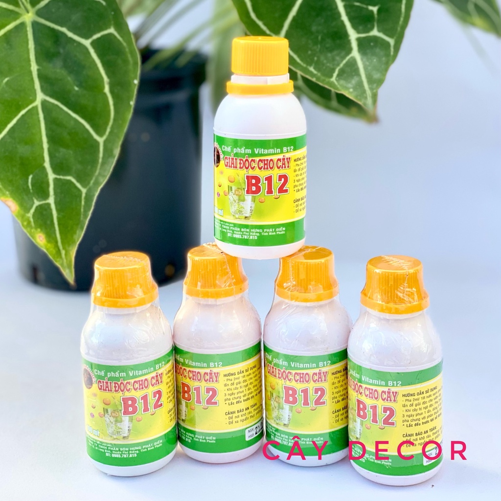 B12 giải độc cho cây [HÀNG CHUẨN] chai tiện lợi 100ml