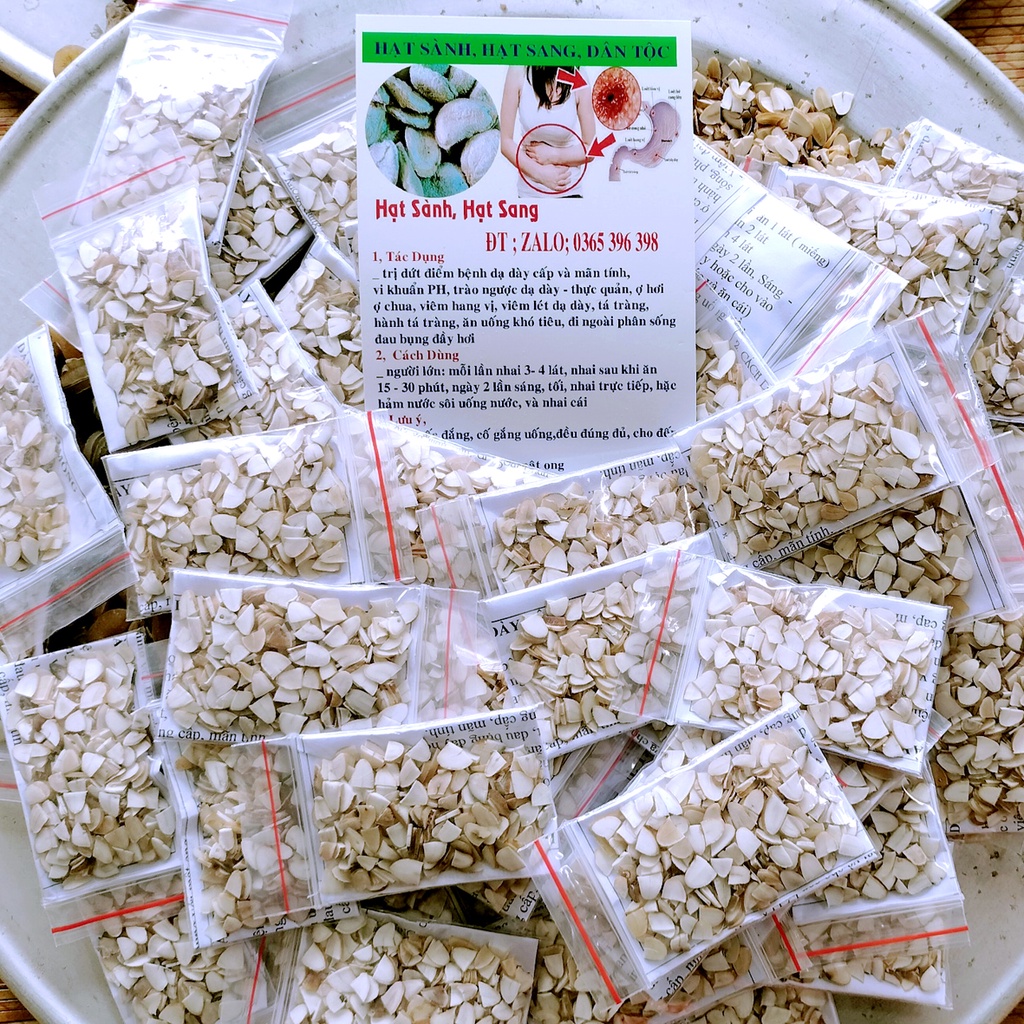 HẠT SÀNH  RỪNG LOẠI GIÀ, RUỘT TRẮNG, 1 GÓI 10 hạt