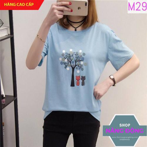 Áo Thun Nữ [CHẤT MÁT, KHÔNG XÙ] Áo phông nữ hàn quốc tay ngắn dễ thương, xinh xắn | BigBuy360 - bigbuy360.vn