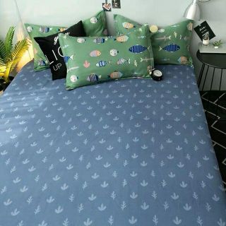 Bộ Chăn Ga Gối Cá Xanh Cotton Poly