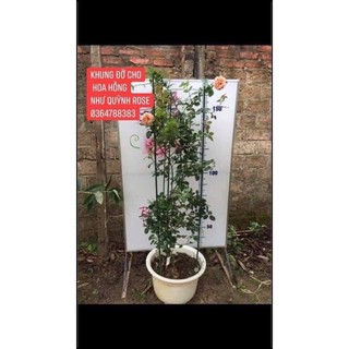 Khung đỡ cho hoa hồng leo,hồng bụi 1m5