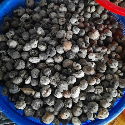 100gr Hải sâm loại MiNi nhãn chuẩn y hình