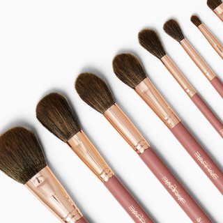 Bọ cọ BH Cosmetics ItsMyRayeRaye 9 Cây