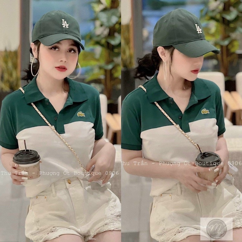 Áo phông cá sấu xanh rêu