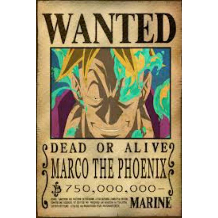 Tấm truy nã các nhân vật khác trong onepiece wanted poster