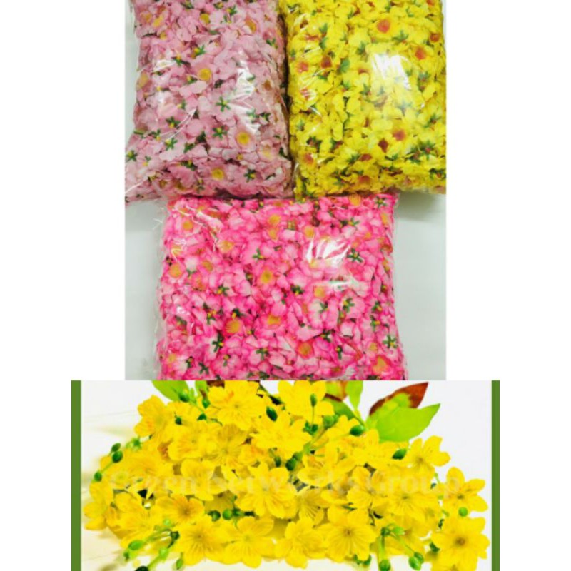 GIÁ LÒ: 1KG HOA MAI VẢI, HOA ĐÀO VẢI DÙNG ĐỂ TRANG TRÍ TẾT, CÂY KIỂNG