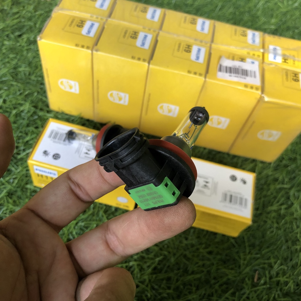 BÓNG ĐÈN GẦM CHÂN H11 PHILIPS