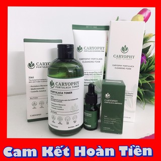 Combo trị mụn 3 sản phẩm Serum, Toner, Sữa rửa mặt caryophy Hàn Quốc