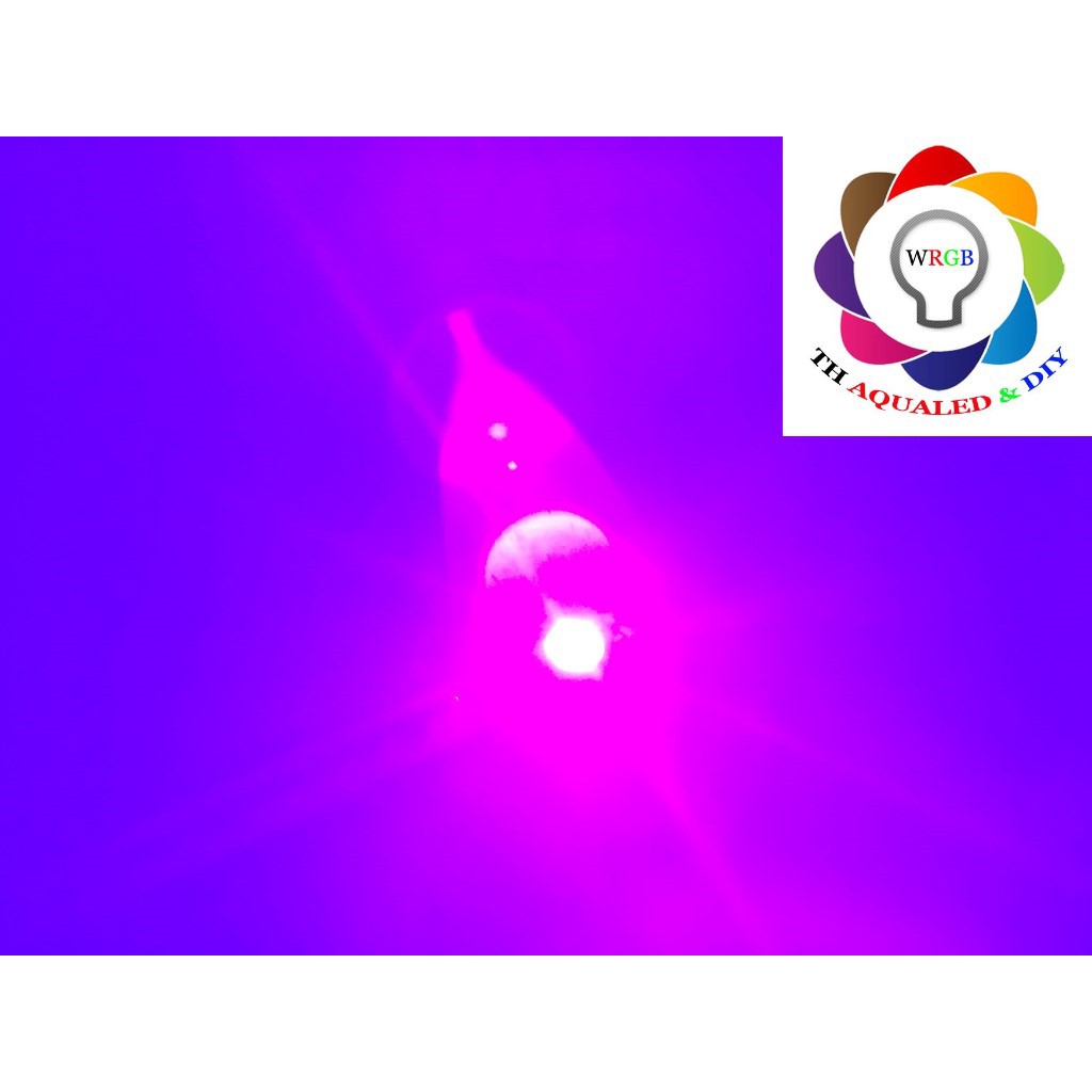 Nhân LED UV Luxeon 1w/3W Espistar, kết xuất màu cao