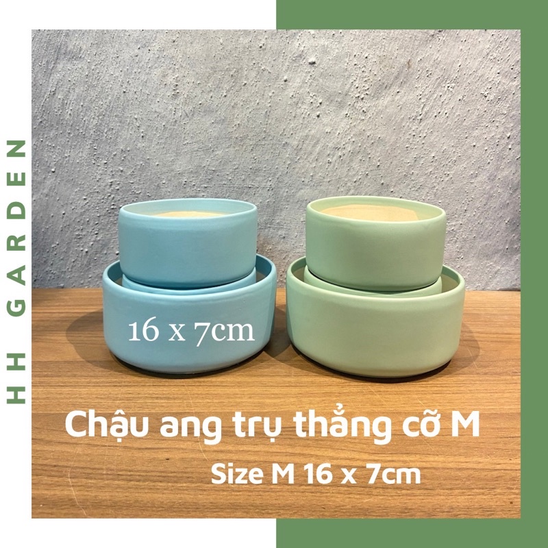 Chậu ang trụ thẳng, Cỡ M 16*7cm, ang trồng cây tiểu cảnh, sen đá xương rồng
