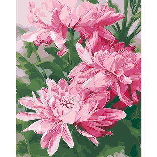 Tranh Hoa mẫu đẹp, tranh phong thủy, ý nghĩa.Tranh sơn dầu số hoá tự tô màu theo số có khung 40*50cm