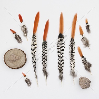 Lông chim trĩ đỏ đầu dài 5-10cm