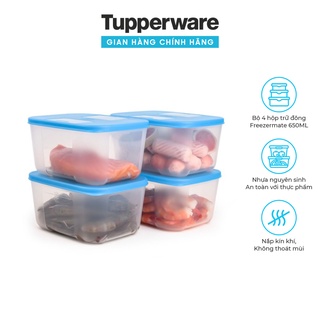 Bộ 4 Hộp Trữ Đông Freezermate 650ml dung tích lưu trữ vừa bảo quản thực phẩm tươi ngon chuyên biệt cho ngăn đông