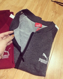 Bộ puma