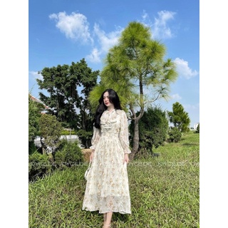 Váy tơ bèo cổ cúc ngọc
