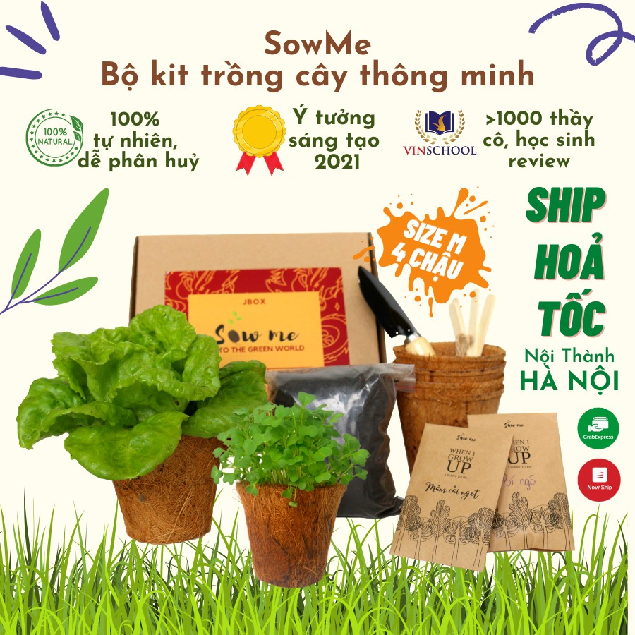 Bộ kit trồng cây (bản đầy đủ) SowMe - gồm 2 loại hạt giống- 4 chậu xơ dừa- dụng cụ làm vườn cho trải nghiệm hoàn hảo