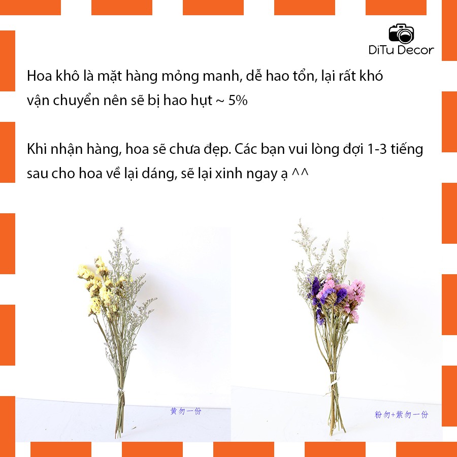 Bó hoa khô mix từ 2 loại hoa, cỏ để chụp ảnh, phụ kiện decor trang trí nhà - Ditu Decor