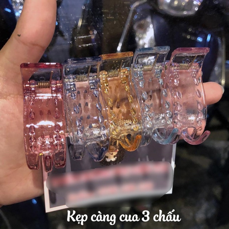 Cào - kẹp tóc càng cua 3 5 chấu Hàn Quốc hottrend nhám - bóng - đen trắng, bóng, cafe, thạch anh