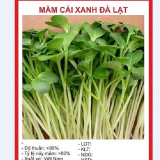 Hạt giống rau Mầm cải xanh Đà Lạt 50gr/gói