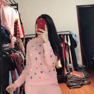 Bộ đồ chim én