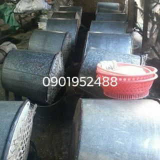 - ĐƯỜNG PHÈN VÀNG.