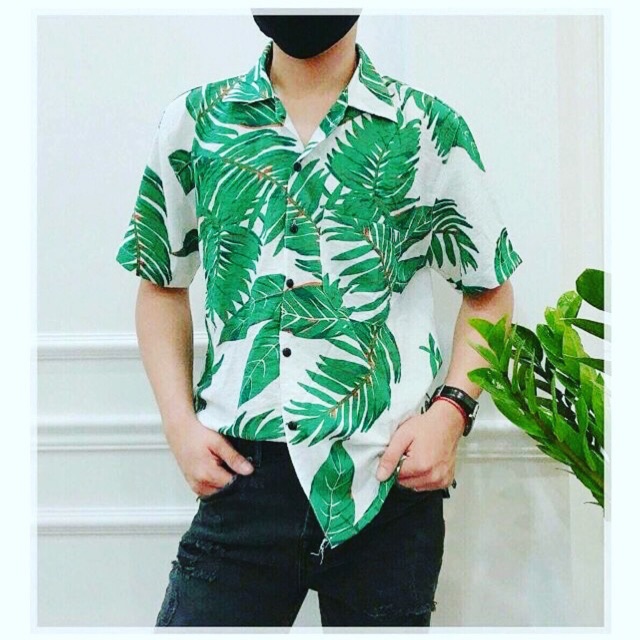 Áo đũi dừa xanh
