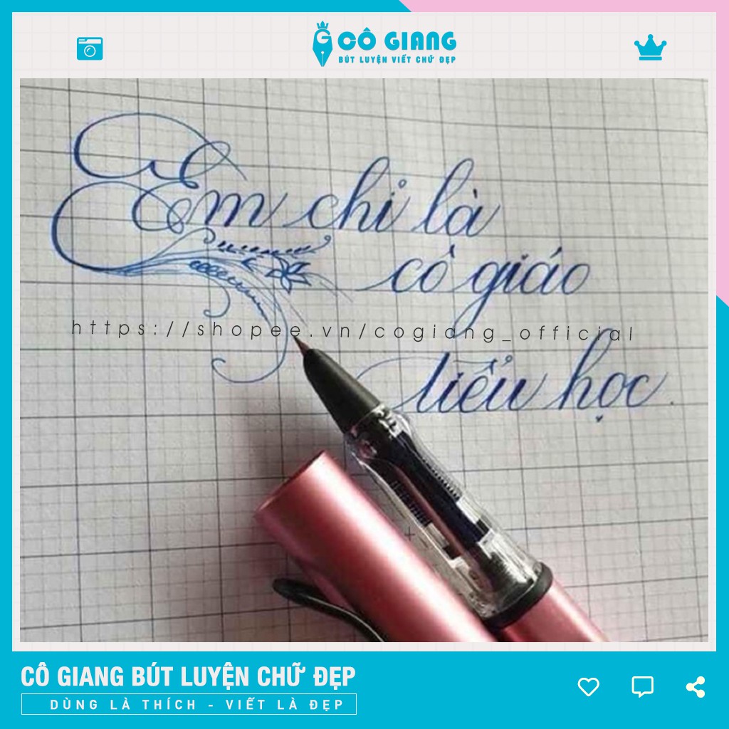 Bút máy luyện chữ bút luyện chữ đẹp ngòi kim tinh lá tre luyện viết nét thanh đậm CG01