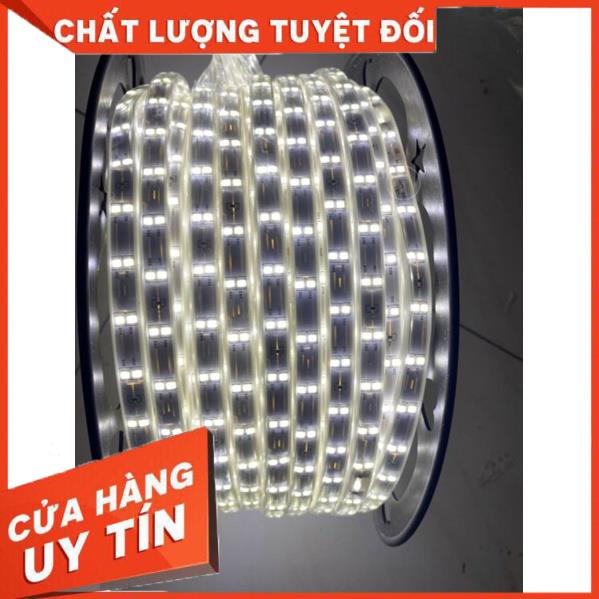 1 cuộn dài 90m dây led 2835 2 hàng led 220v