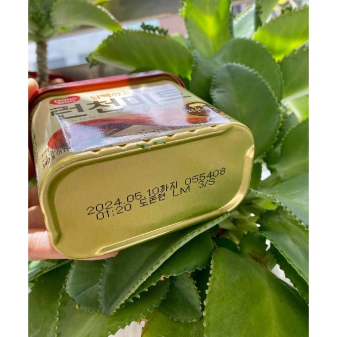 Thịt Hộp Hàn Quốc Nắp Nâu