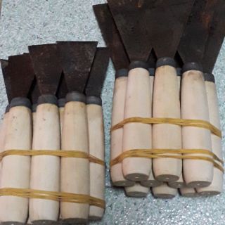 Cây sủi sơn 4cm-7cm x 2 cây
