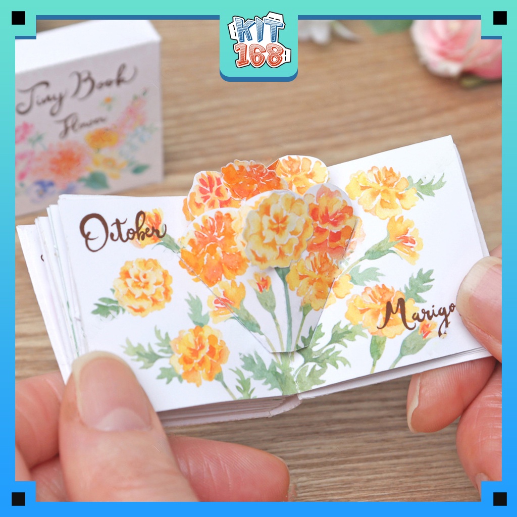 Mô hình giấy đồ vật đồ chơi Sách bông hoa 3D