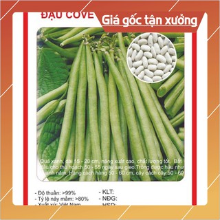 Hạt giống Đậu Cove lùn 50Gram Hạt giống