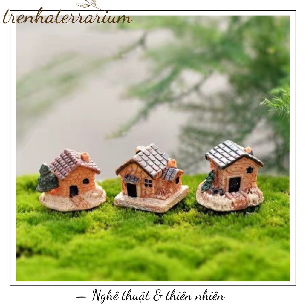 Tiểu cảnh nhà cảnh quan trang trí sen đá, xương rồng, terrarium