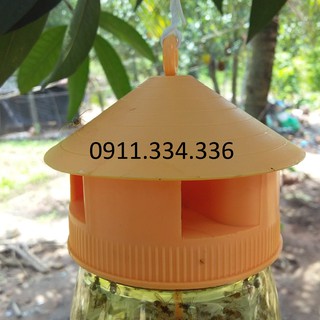 Bẫy Ruồi Vàng - Combo 5 bộ bẫy