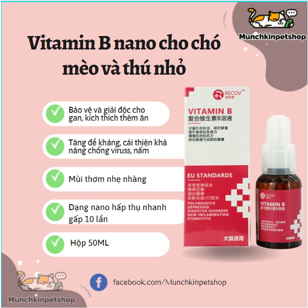 Vitamin B cho chó mèo và thú cưng nhỏ, tăng đề kháng, bổ và giải độc gan, chống lại viruss, nấm