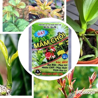 Vua Bật chồi, phát lộc, bật búp, nở ngọn, mập thân, dày lá hoa hồng, rau màu, cây ăn trái, hoa cây cảnh gói 60g