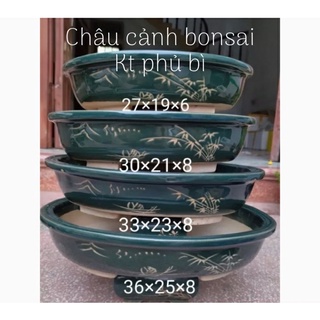 4 ang bon sai bầu giục/chậu trồng cây bonsai/chậu trồng cây cảnh /chậu trồng cây kiểng