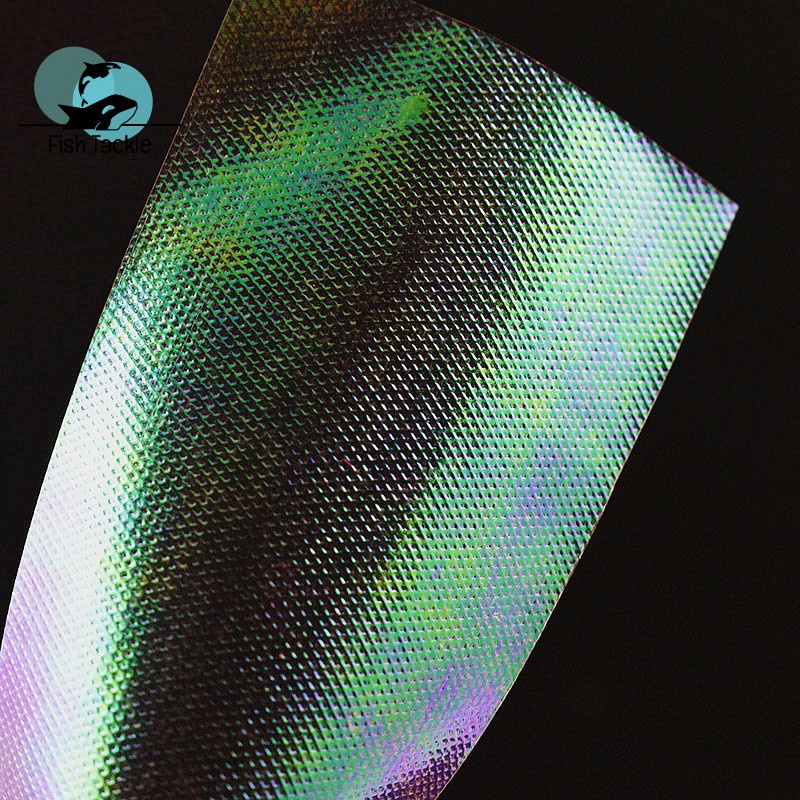 Set 10 Tờ Dây Câu Cá 10*5cm Màu Cầu Vồng Nổi Bật