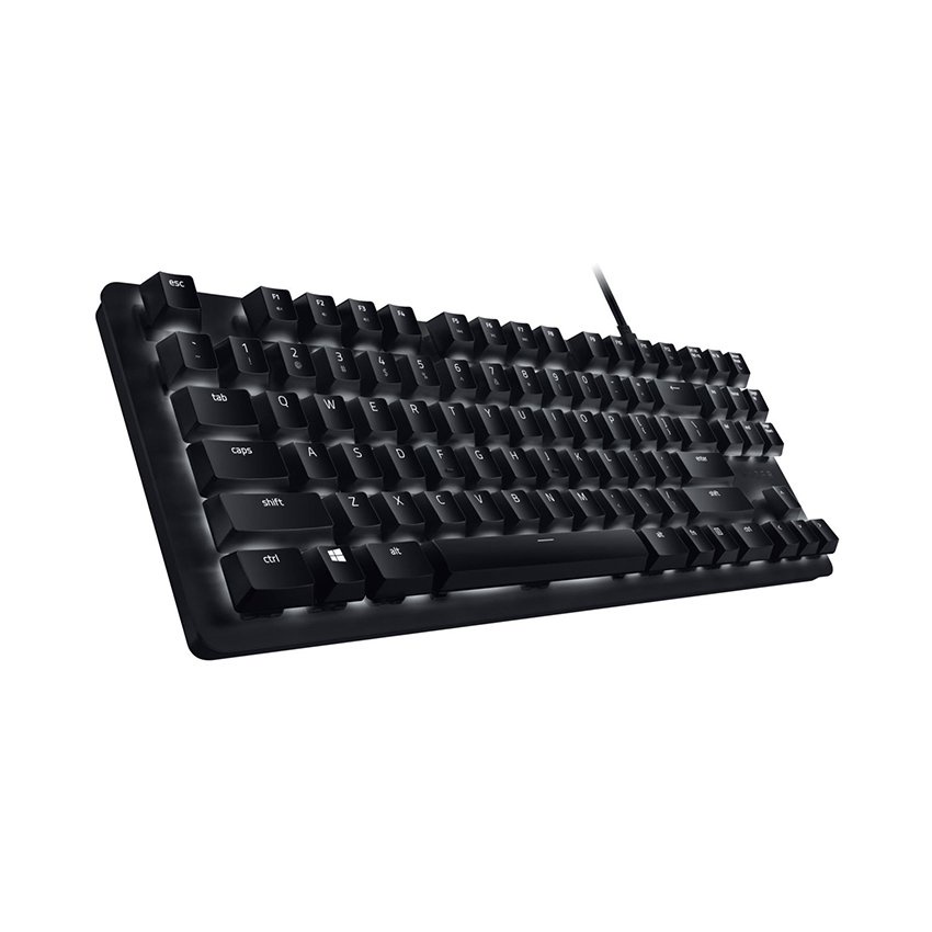 Bàn phím cơ Razer Blackwidow Lite Silent (RZ03-02640100-R3M1) (USB/TKL/Orange Switch)
