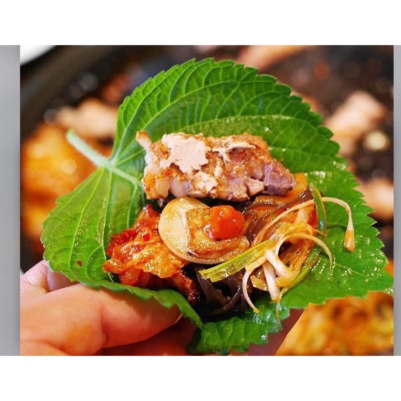 Sỉ lá mè tươi Hàn quốc