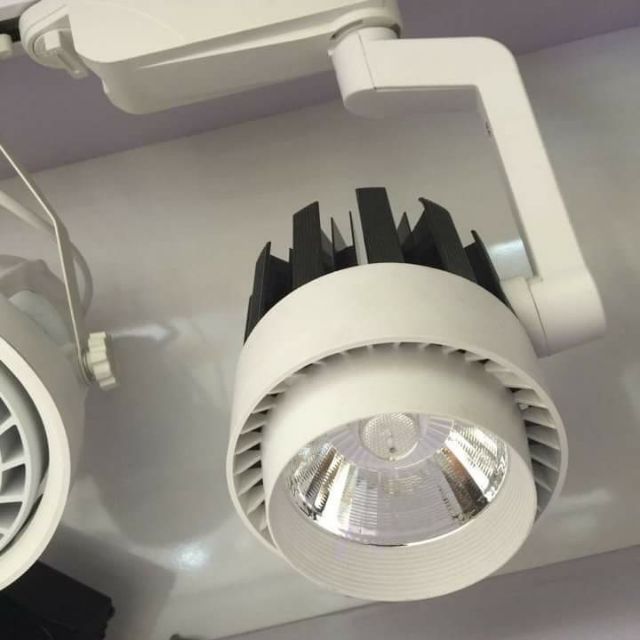 ĐÈN RỌI RAY 20W